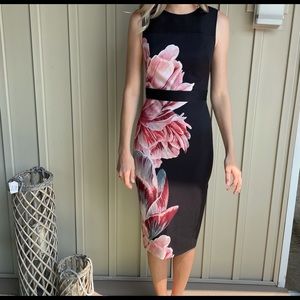 Ted Baker Dress Size 0.